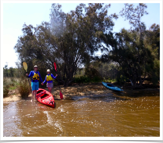 Ascot Waters 7 Feb 2015